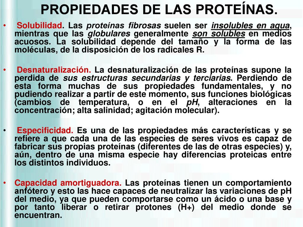 donde se encuentran las proteinas fibrosas y globulares donde se encuentran las proteinas fibrosas y globulares